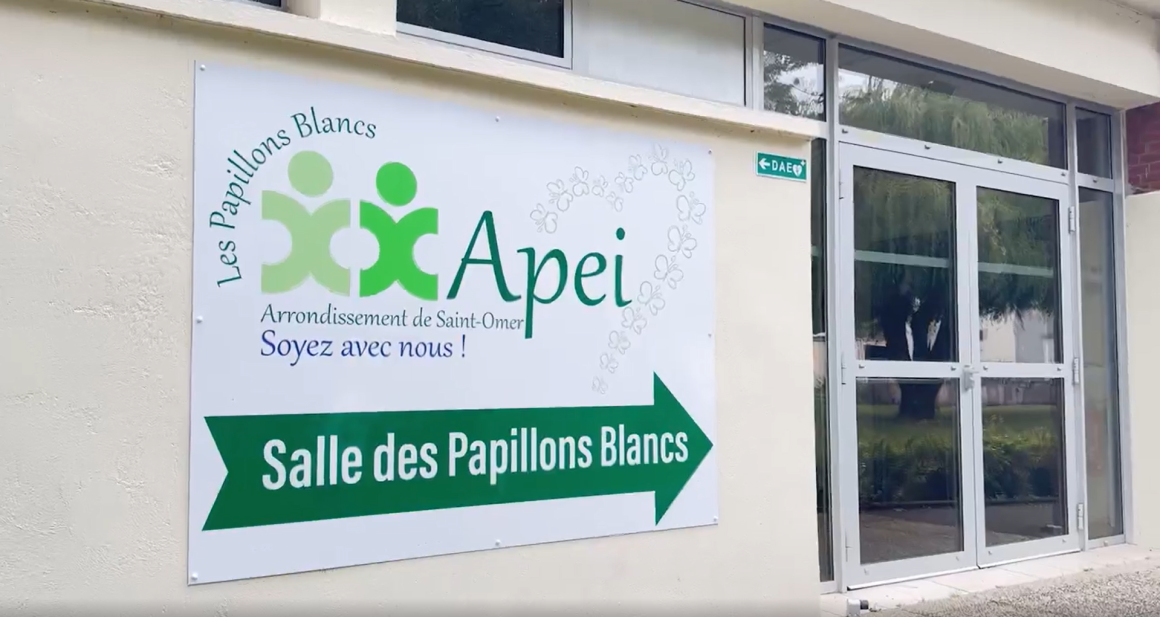 Photographie représentant les Papillons Blancs